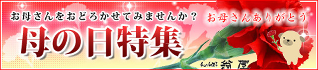 ��ǯ��������ϡ��������²ۻҤ�£������